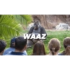 WAAZ