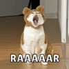 RAAAAAR