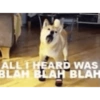 ALL I HEARD WAS
BLAH BLAH BLAH