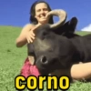 Xingamentos 🤬😤 6