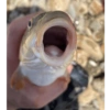 Karma 2 28