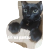 Guji Gosong Kitty 12