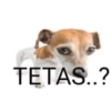 Sapecagens 8