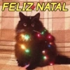 MEMES NATALINOS🎅🎄 14