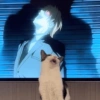 MIAU 18