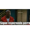 Sigue esperando perra