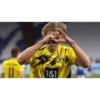 Haaland 5