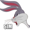 Memes de desenhos 15