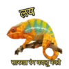 Marathi 16
