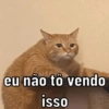 PRA USAR NO ZAP 😜 7