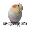 Memes pa’ Enviar 🔥🤡 11