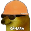 Perrito Chulo 10