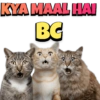 KYA MAAL HAI
BC