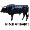 Marathi 14