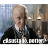 Harry Potter a stikers 14