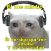 Perritos con canciones Sad 18