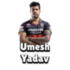 RCB (Bangalore) (IPL) 19