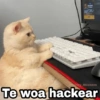 JAK 49 @Harley Stickers Te woa hackear