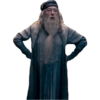 HarryPotter8Albus Dumbledore 13