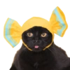 Cats Chapter 1 7