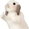 Rabbit  10