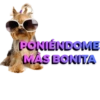 CHAMA NORMAL 14