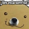 ¿Ves esta sonrisa?
@Harley_Stickers
i