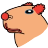 Chigüires (Capibara) 10