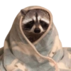 Memes de animalitos ❤️‍🩹 8