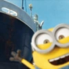 Minions 14