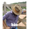 Figurinhas / Memes 12