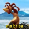 Aqueles memes variados 😂 15