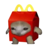 Kucing 18