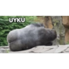 UYKU