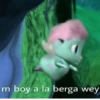 Bibble Frasesitas 13