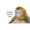 Jaja q grasios 😂👍 11