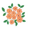 Floral 19