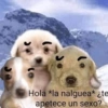 Hola *la nalguea* ¿te
apetece un sexo?