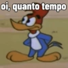 PICA-PAU MEMES 15