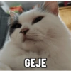 GEJE