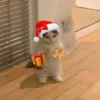 MEMES NATALINOS🎅🎄 15