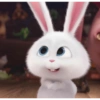 Snowball Rabbit 2 20