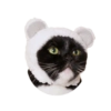 Cats Chapter 1 14