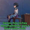 Banayir
Ganyu, hoy no hay
entrenamiento. Voy a
llorar todo el día