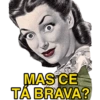 MEMES PRO ZAP 12