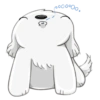 Cute dog 24