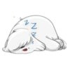 Cute dog 27