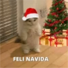 Memes Navideños🎄🎅 9