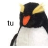 Jaja q grasios 😂👍 6