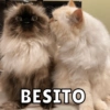 BESITO